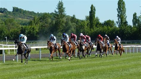 gouve turf|Gouveturf : Naviguer sur l’Échiquier des Courses Hippiques.